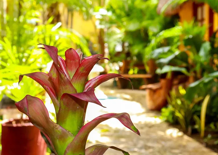 Sun Caribbean Playa Del Carmen Hotel 3*