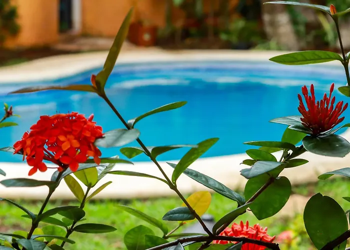 Hotel Sun Caribbean Playa Del Carmen