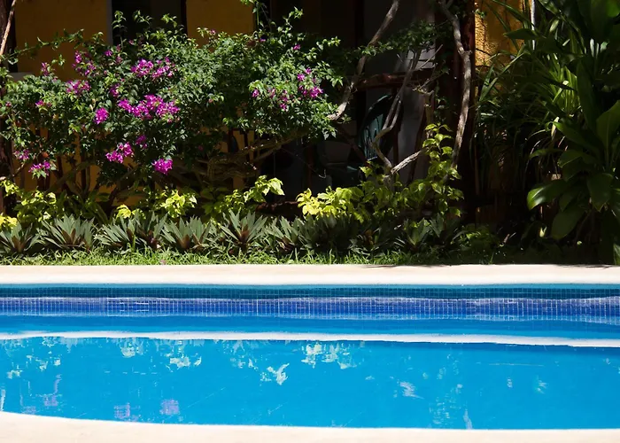 Sun Caribbean Playa Del Carmen Hotel Playa del Carmen
