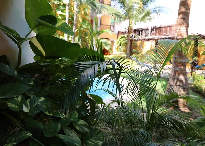 Hotel Sun Caribbean Playa Del Carmen Playa del Carmen